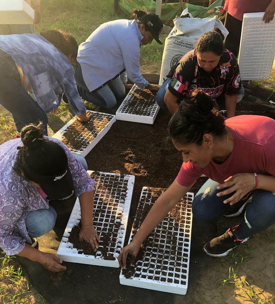 Programa de extensionismo de la Sagarhpa forma cooperativas en zonas marginadas de Sonora